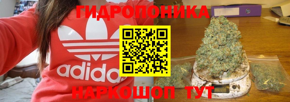 Каннабис тримм  Каннабис гибрид  Сланцы  Шишки марихуана тримм  Каннабис семена  Вход с VPN 